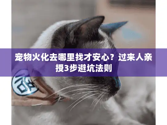 宠物火化去哪里找才安心？过来人亲授3步避坑法则