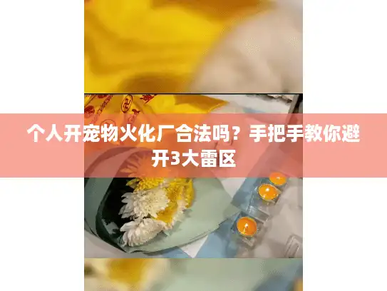 个人开宠物火化厂合法吗？手把手教你避开3大雷区