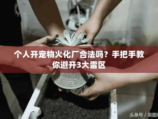 个人开宠物火化厂合法吗？手把手教你避开3大雷区