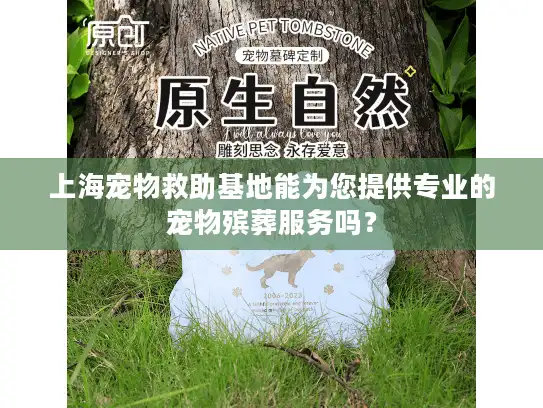 上海宠物救助基地能为您提供专业的宠物殡葬服务吗？