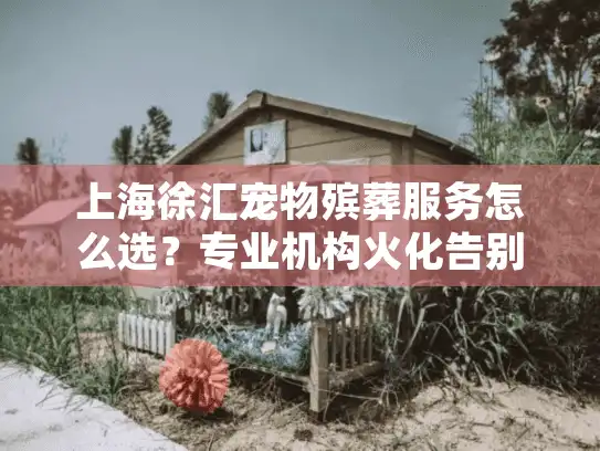 上海徐汇宠物殡葬服务怎么选？专业机构火化告别全流程指南
