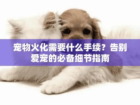 宠物火化需要什么手续？告别爱宠的必备细节指南