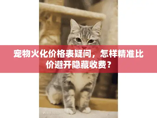 宠物火化价格表疑问，怎样精准比价避开隐藏收费？