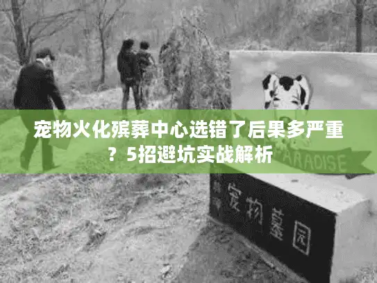 宠物火化殡葬中心选错了后果多严重？5招避坑实战解析