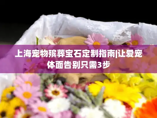上海宠物殡葬宝石定制指南|让爱宠体面告别只需3步