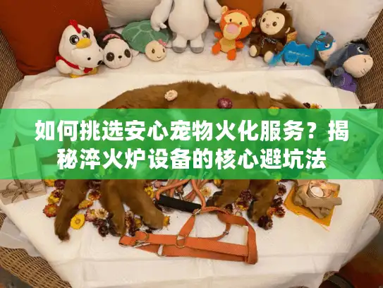 如何挑选安心宠物火化服务？揭秘淬火炉设备的核心避坑法