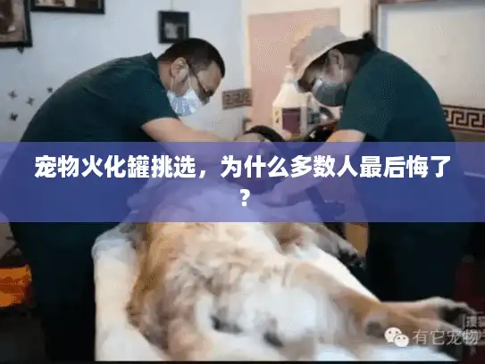 宠物火化罐挑选，为什么多数人最后悔了？