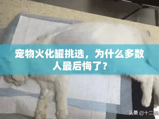 宠物火化罐挑选，为什么多数人最后悔了？