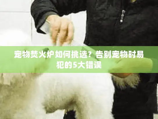 宠物焚火炉如何挑选？告别宠物时易犯的5大错误