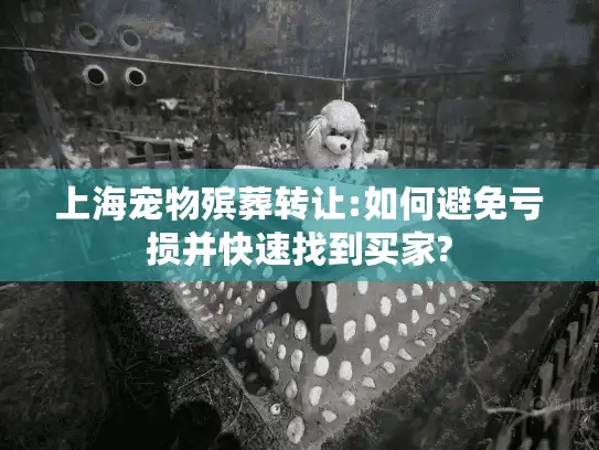上海宠物殡葬转让:如何避免亏损并快速找到买家?