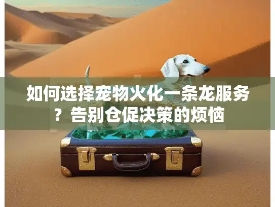 如何选择宠物火化一条龙服务？告别仓促决策的烦恼