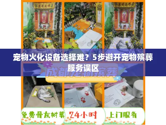 宠物火化设备选择难？5步避开宠物殡葬服务误区