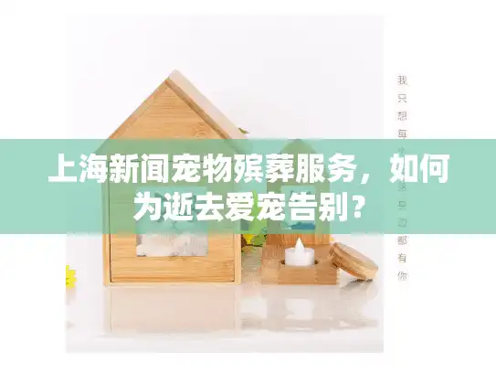 上海新闻宠物殡葬服务，如何为逝去爱宠告别？