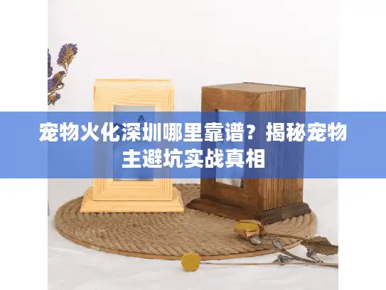 宠物火化深圳哪里靠谱？揭秘宠物主避坑实战真相