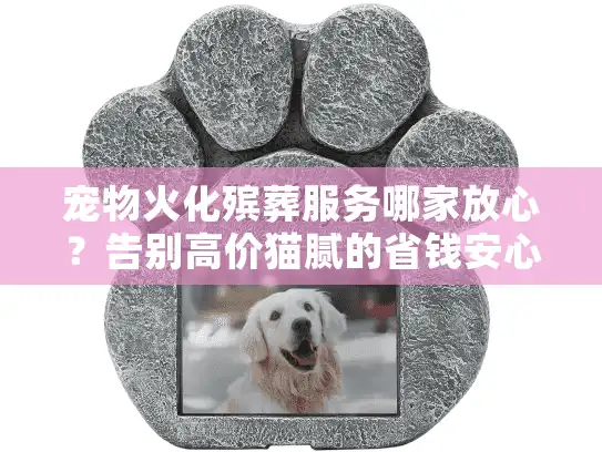 宠物火化殡葬服务哪家放心？告别高价猫腻的省钱安心秘诀