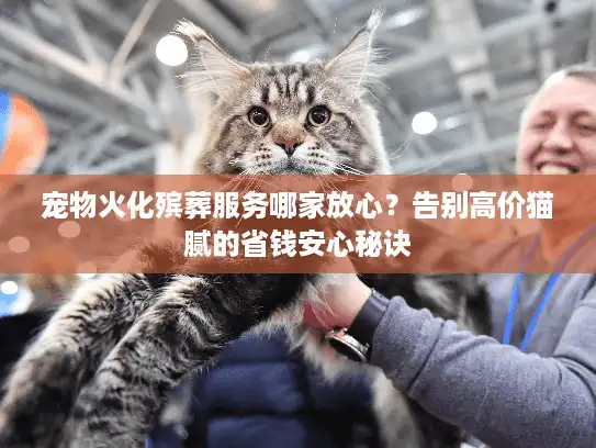 宠物火化殡葬服务哪家放心？告别高价猫腻的省钱安心秘诀