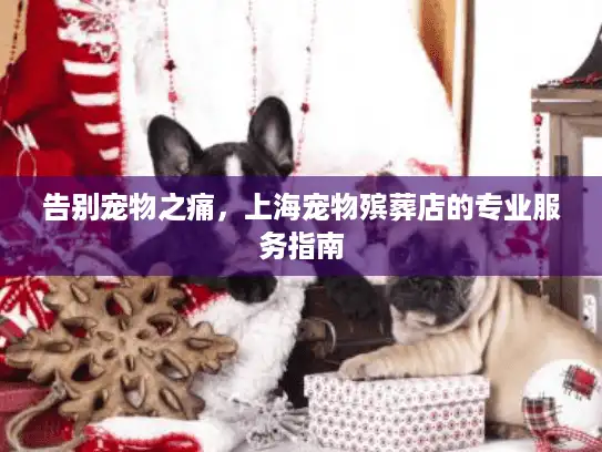 告别宠物之痛，上海宠物殡葬店的专业服务指南