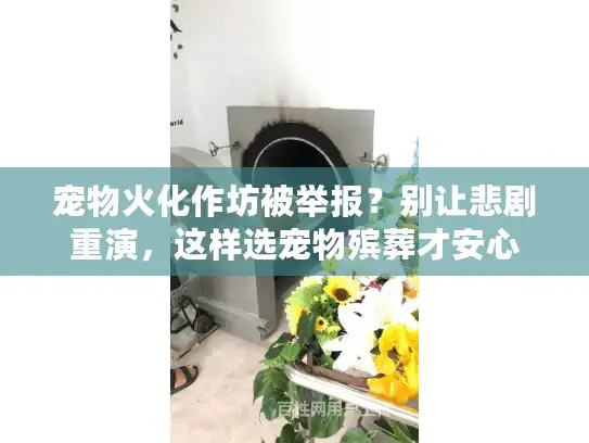 宠物火化作坊被举报？别让悲剧重演，这样选宠物殡葬才安心