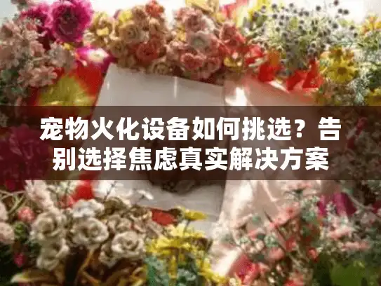 宠物火化设备如何挑选？告别选择焦虑真实解决方案