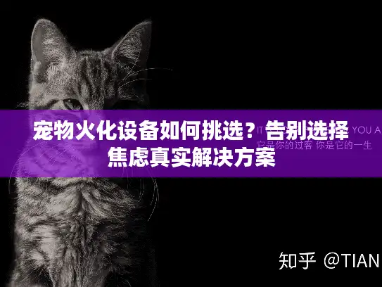 宠物火化设备如何挑选？告别选择焦虑真实解决方案