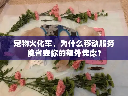 宠物火化车，为什么移动服务能省去你的额外焦虑？