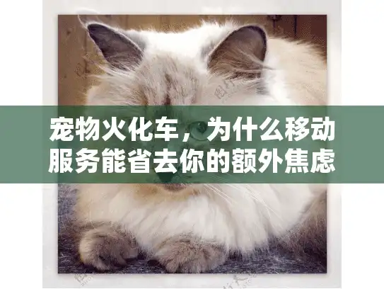 宠物火化车，为什么移动服务能省去你的额外焦虑？
