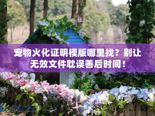 宠物火化证明模版哪里找？别让无效文件耽误善后时间！