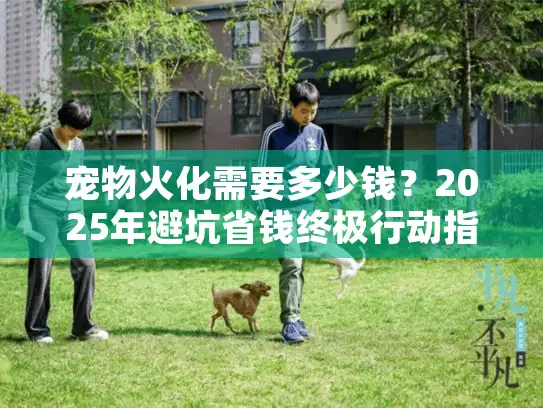 宠物火化需要多少钱？2025年避坑省钱终极行动指南