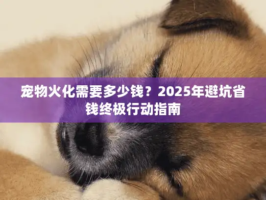 宠物火化需要多少钱？2025年避坑省钱终极行动指南