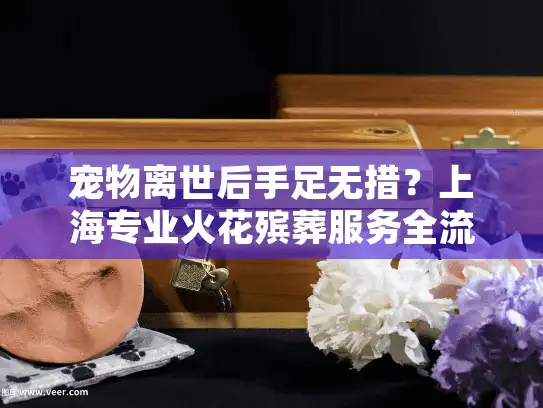 宠物离世后手足无措？上海专业火花殡葬服务全流程指南