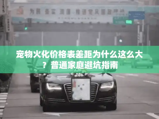 宠物火化价格表差距为什么这么大？普通家庭避坑指南