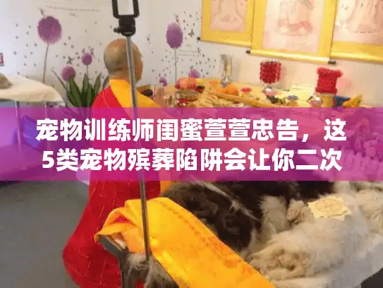 宠物训练师闺蜜萱萱忠告，这5类宠物殡葬陷阱会让你二次受伤？