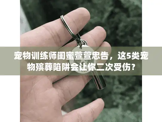 宠物训练师闺蜜萱萱忠告，这5类宠物殡葬陷阱会让你二次受伤？