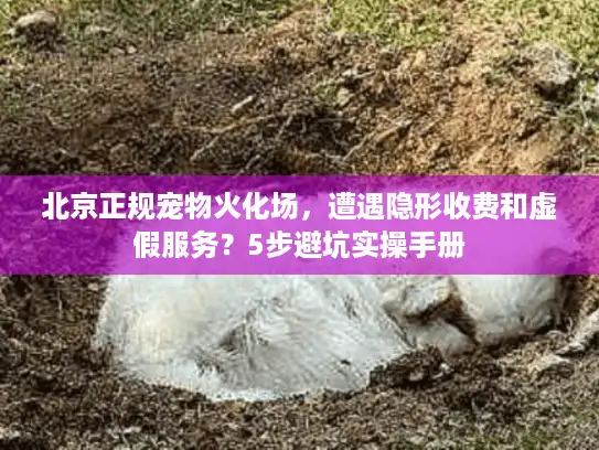北京正规宠物火化场，遭遇隐形收费和虚假服务？5步避坑实操手册
