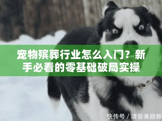 宠物殡葬行业怎么入门？新手必看的零基础破局实操