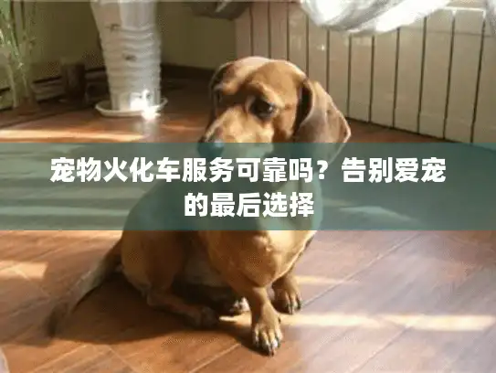 宠物火化车服务可靠吗？告别爱宠的最后选择