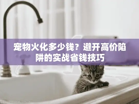 宠物火化多少钱？避开高价陷阱的实战省钱技巧