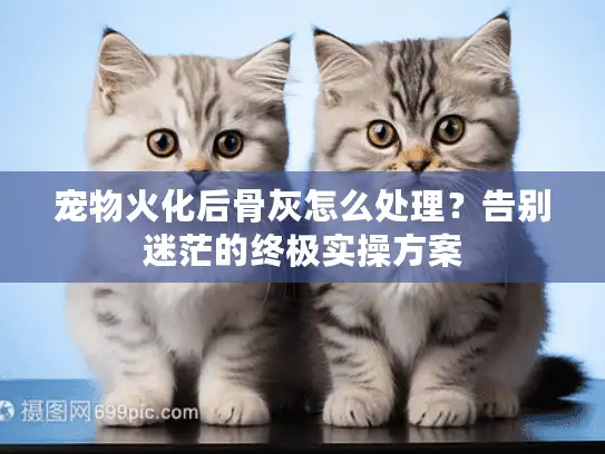 宠物火化后骨灰怎么处理？告别迷茫的终极实操方案