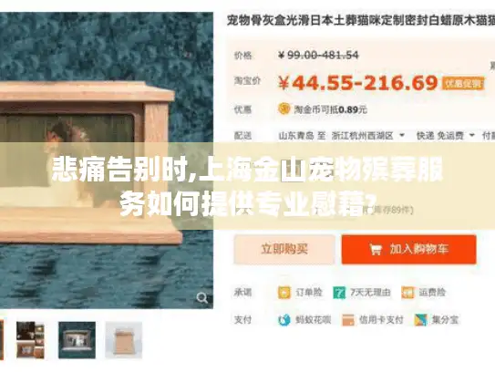 悲痛告别时,上海金山宠物殡葬服务如何提供专业慰藉?