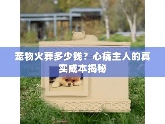 宠物火葬多少钱？心痛主人的真实成本揭秘