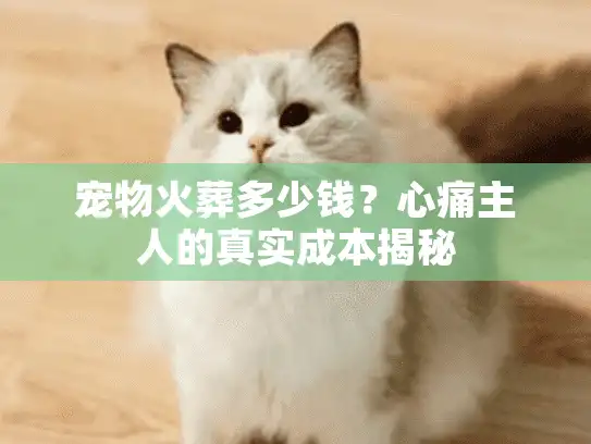 宠物火葬多少钱？心痛主人的真实成本揭秘