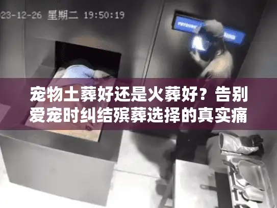 宠物土葬好还是火葬好？告别爱宠时纠结殡葬选择的真实痛苦
