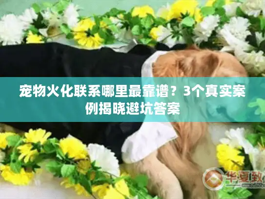 宠物火化联系哪里最靠谱？3个真实案例揭晓避坑答案