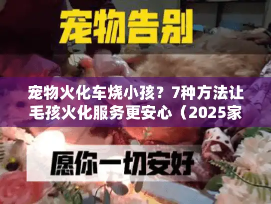 宠物火化车烧小孩？7种方法让毛孩火化服务更安心（2025家长必看）