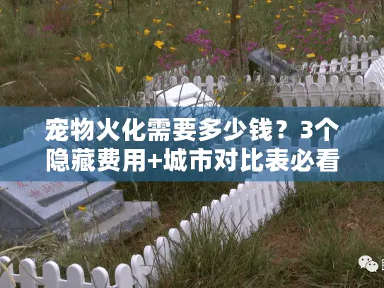 宠物火化需要多少钱？3个隐藏费用+城市对比表必看