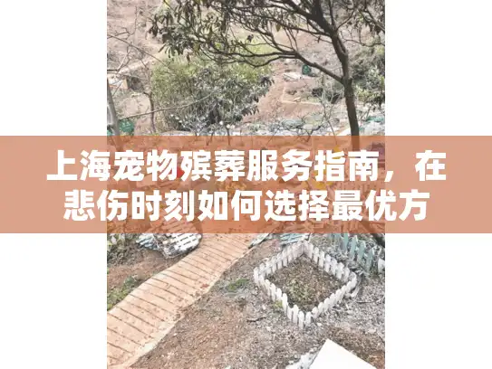 上海宠物殡葬服务指南，在悲伤时刻如何选择最优方案？