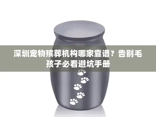 深圳宠物殡葬机构哪家靠谱？告别毛孩子必看避坑手册