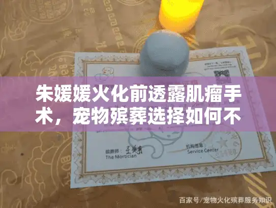朱媛媛火化前透露肌瘤手术，宠物殡葬选择如何不后悔？