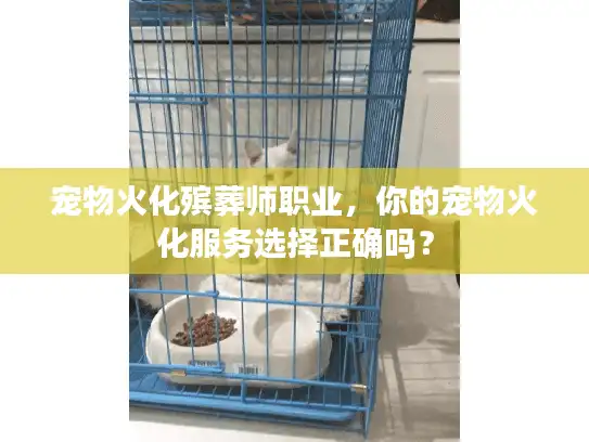 宠物火化殡葬师职业，你的宠物火化服务选择正确吗？