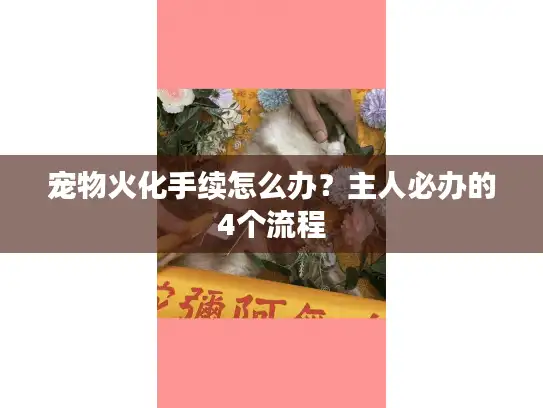 宠物火化手续怎么办？主人必办的4个流程